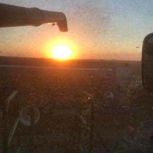 Meet your Posher, Steve